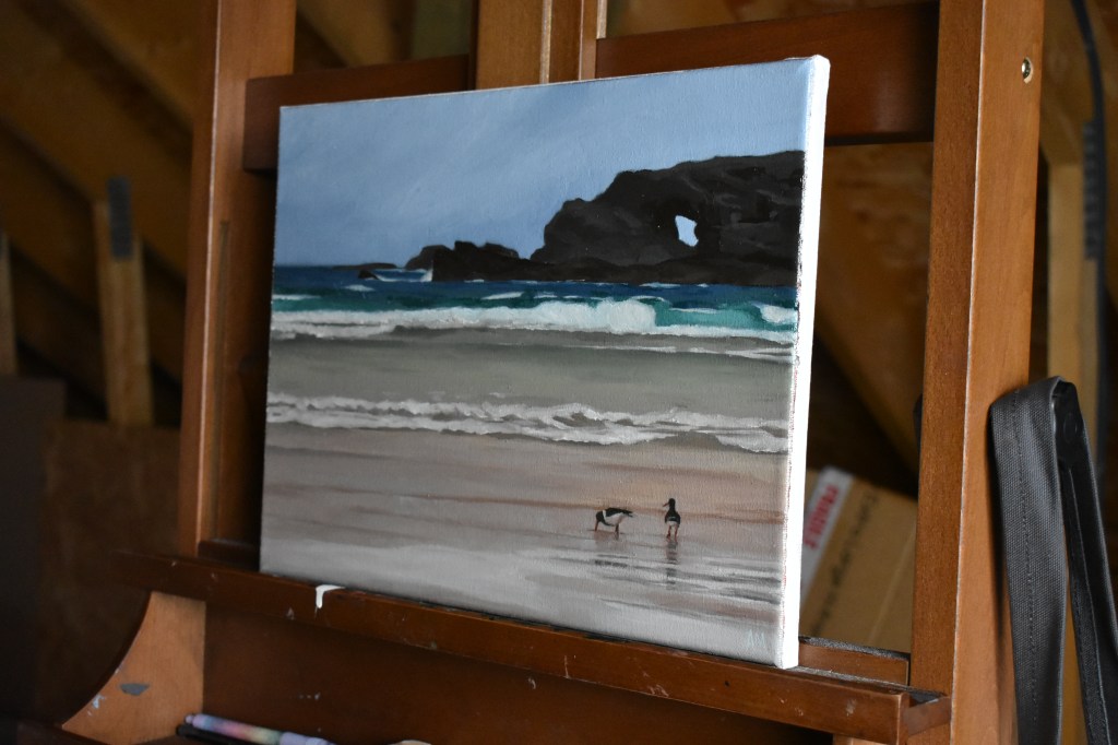 Oystercatchers at Eoropie